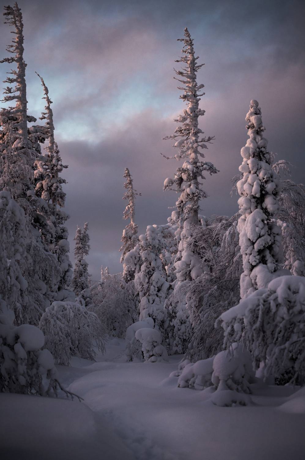 , Перевозчиков Андрей