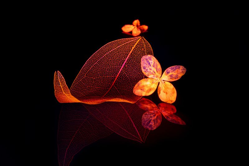 Red-hot фото превью