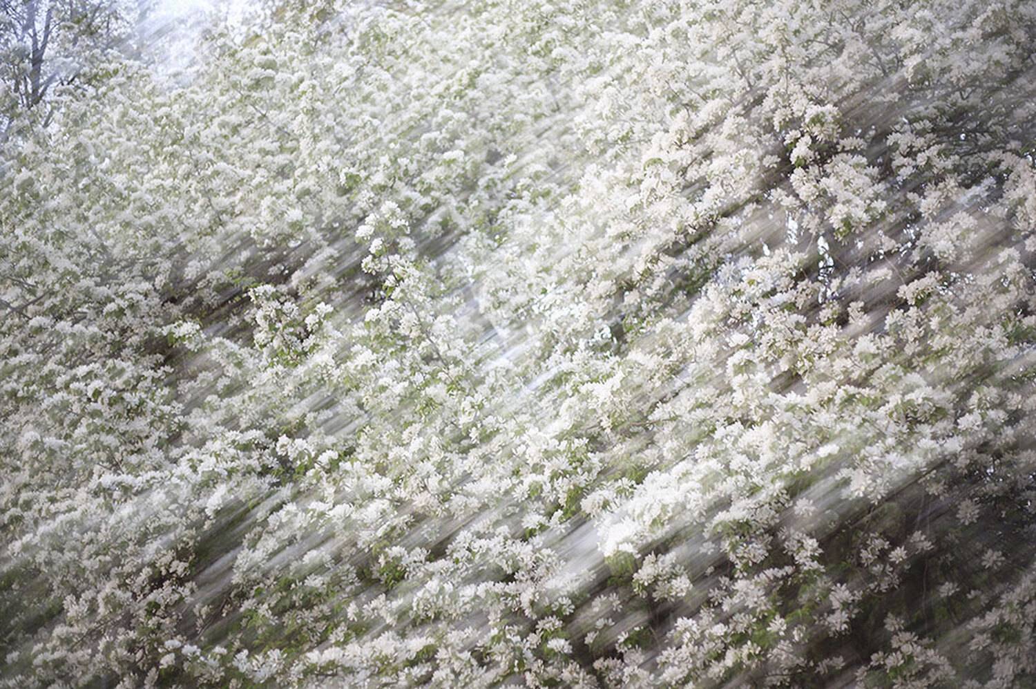 , Чудинин Дмитрий