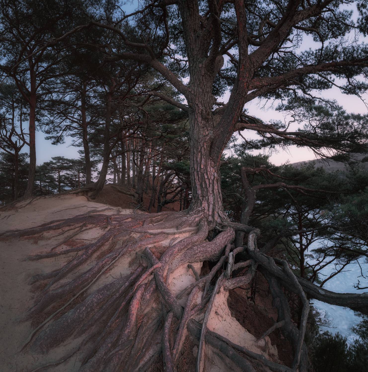 Приморье Приморский_край японское_море вечер закат, Шишкин Дмитрий