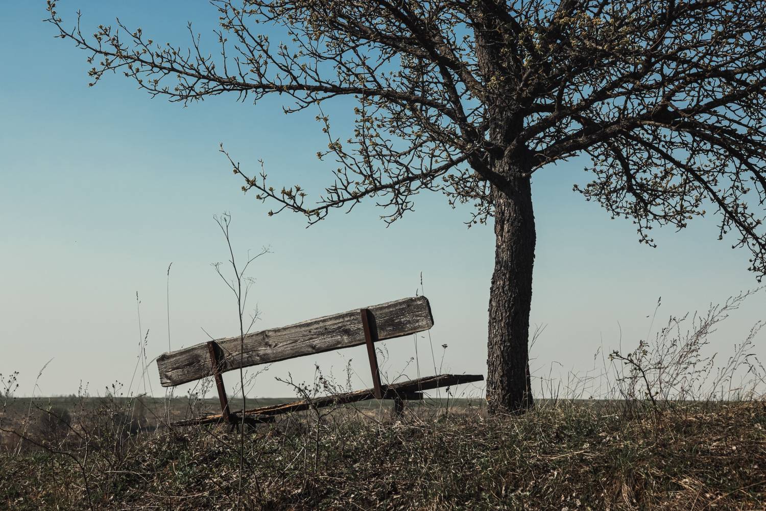 , Konstantin Morozov