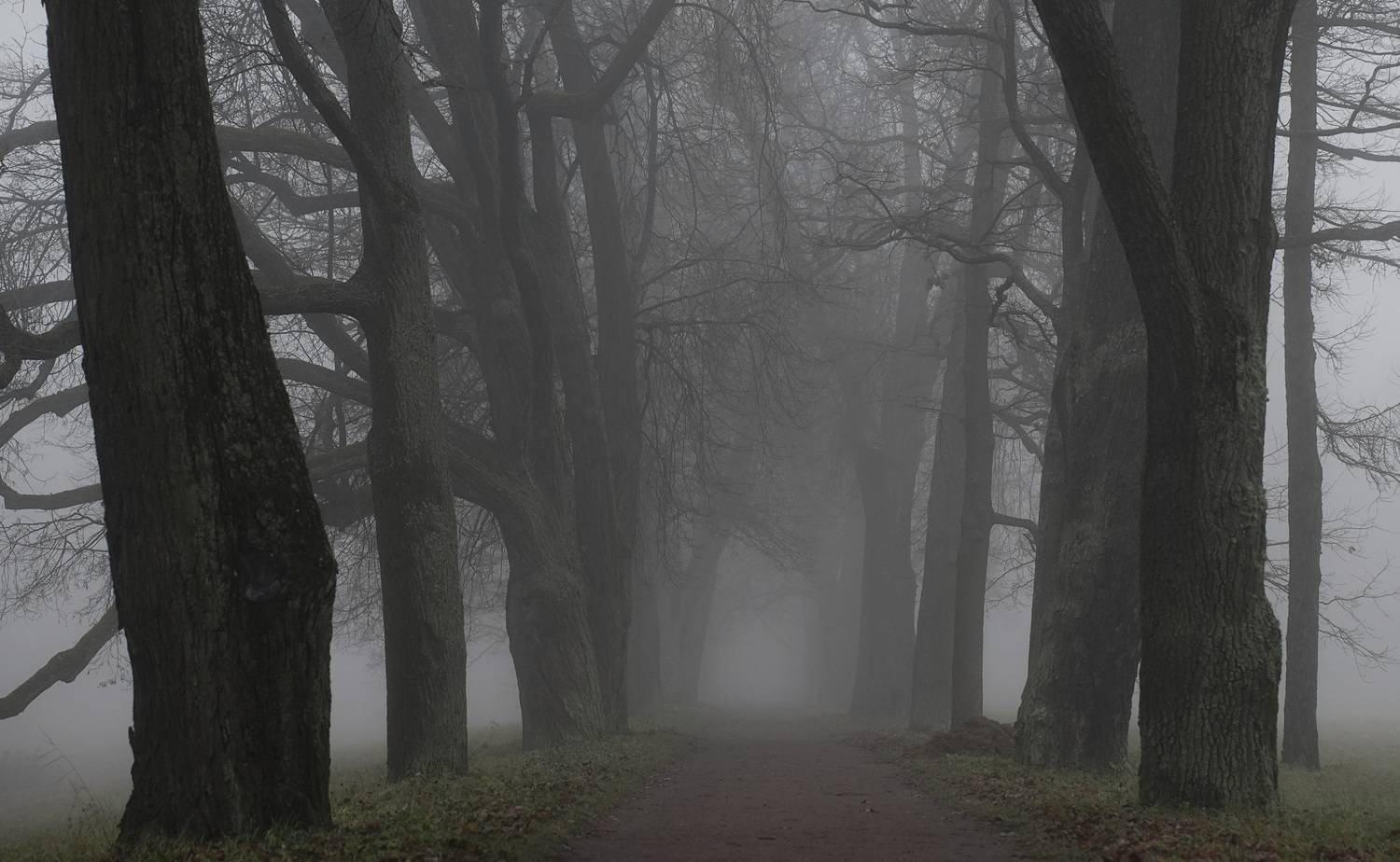 ,  Сергей Андреевич