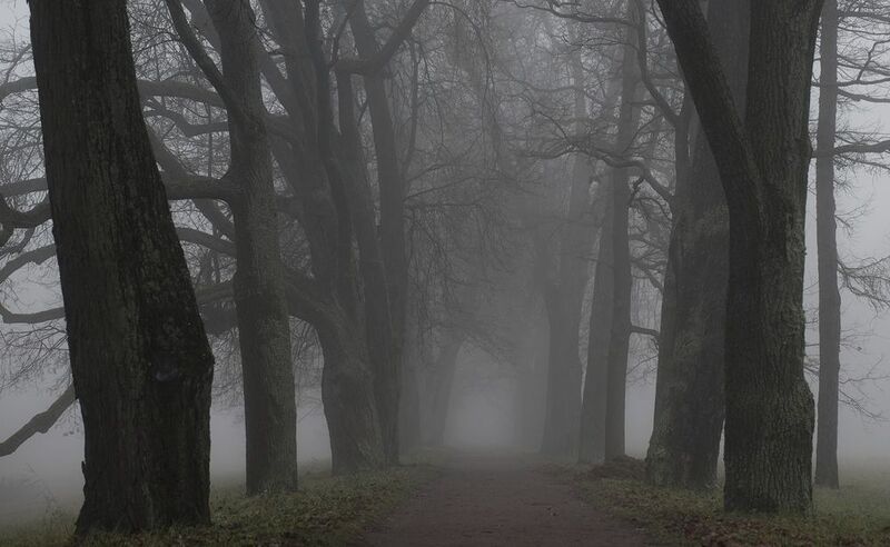 A morning in November фото превью