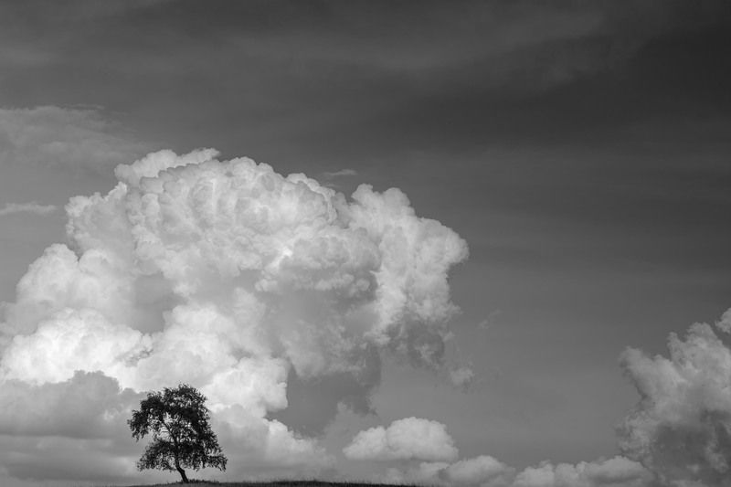 ******* фото превью