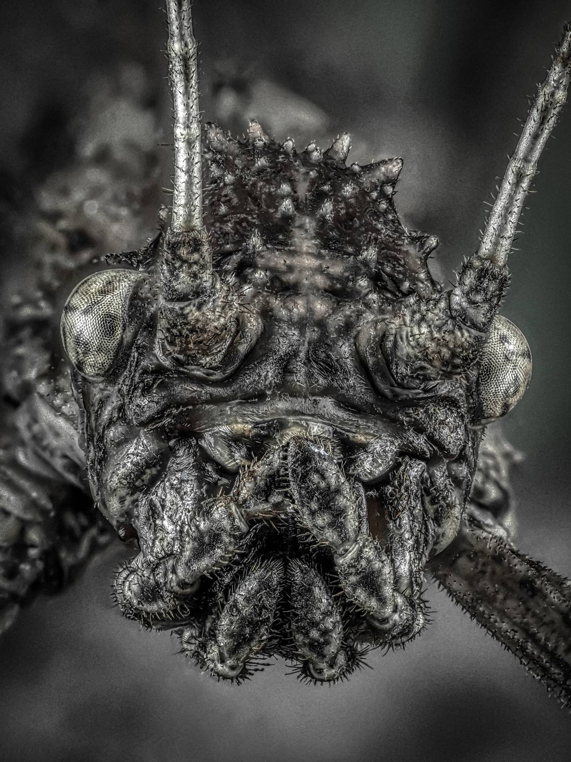 , Олег Савицкий