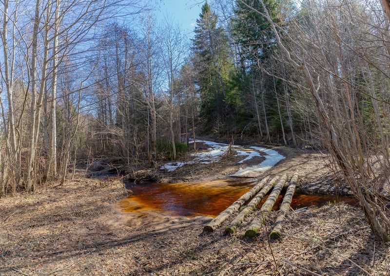 ручей, мостик, дорога, кустарник, лес Ручей. фото превью