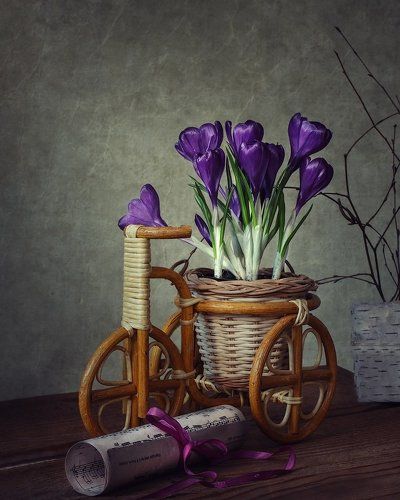 Весенняя песенка