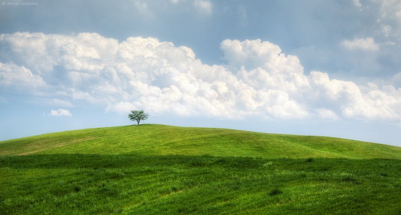 Гармония природы фото превью