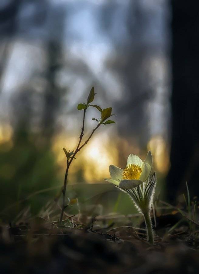 , Анатольевич