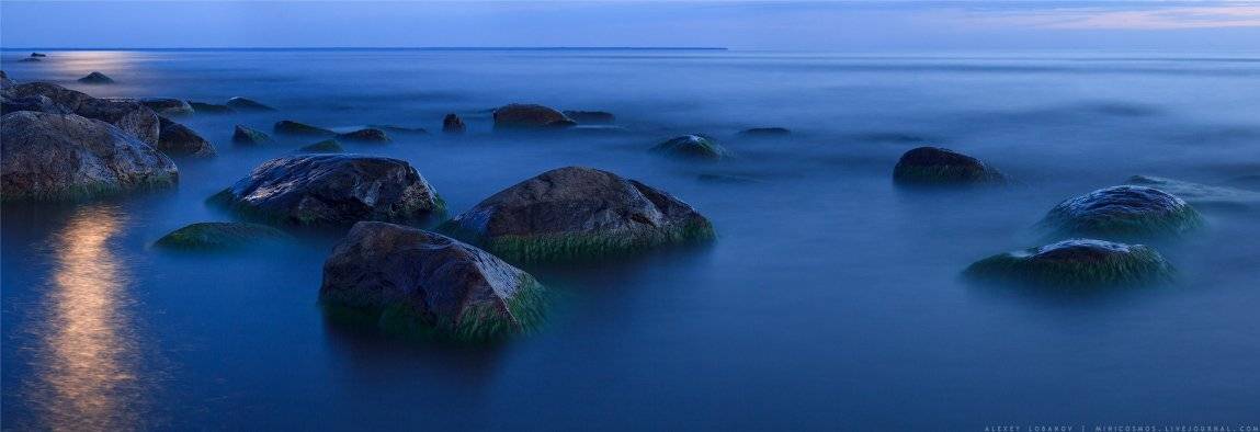 , Алексей Лобанов