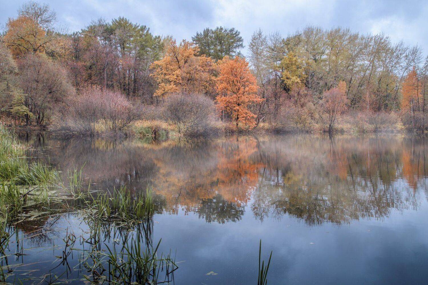 осень, пруд, туман, Виктор Климкин
