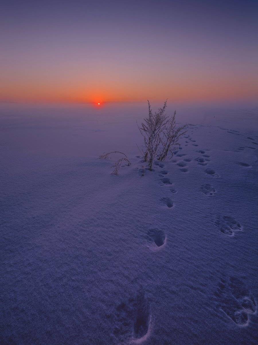 , Сергей (Bekr)