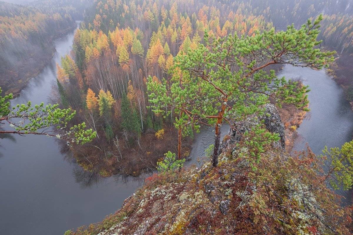 горы, ивдель, осень, река, скалы, сосна, туман, урал, Кирилл Уютнов