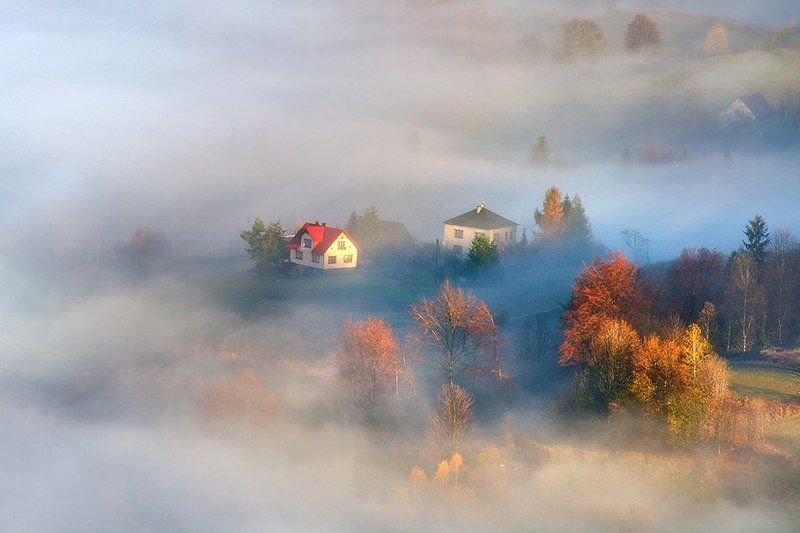 Surrounded by fog фото превью