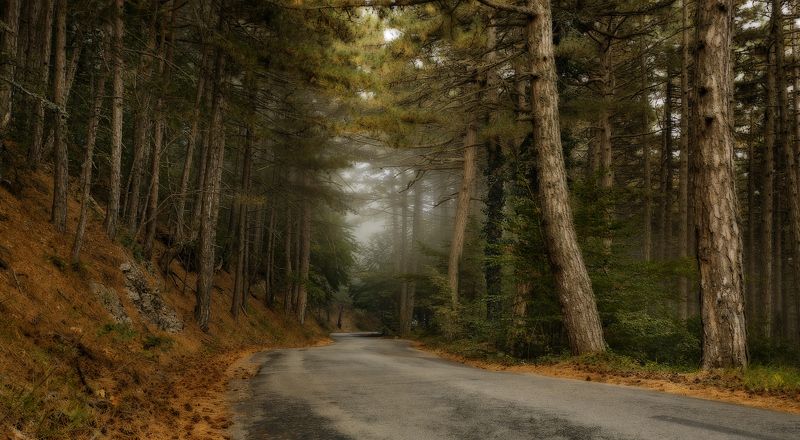 Старая дорога фото превью