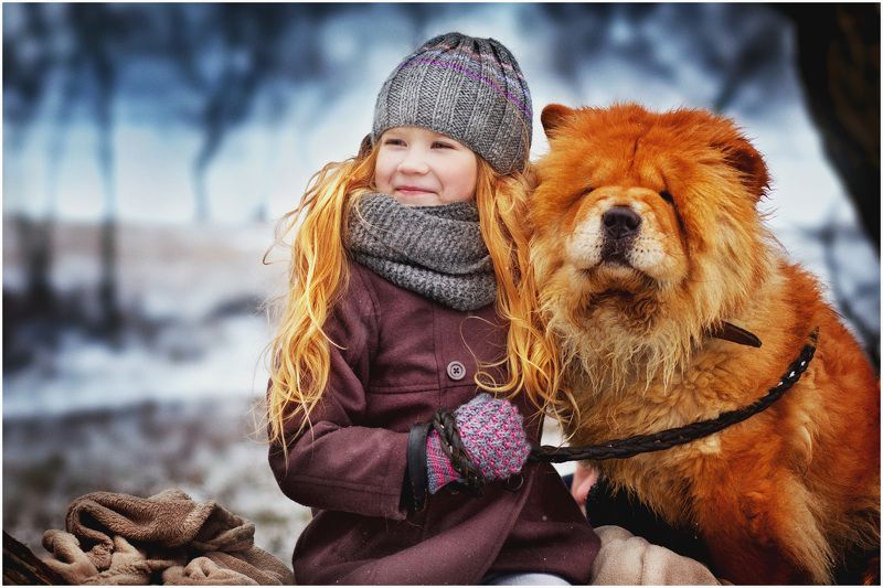 дети, собаки, лес На проулке фото превью