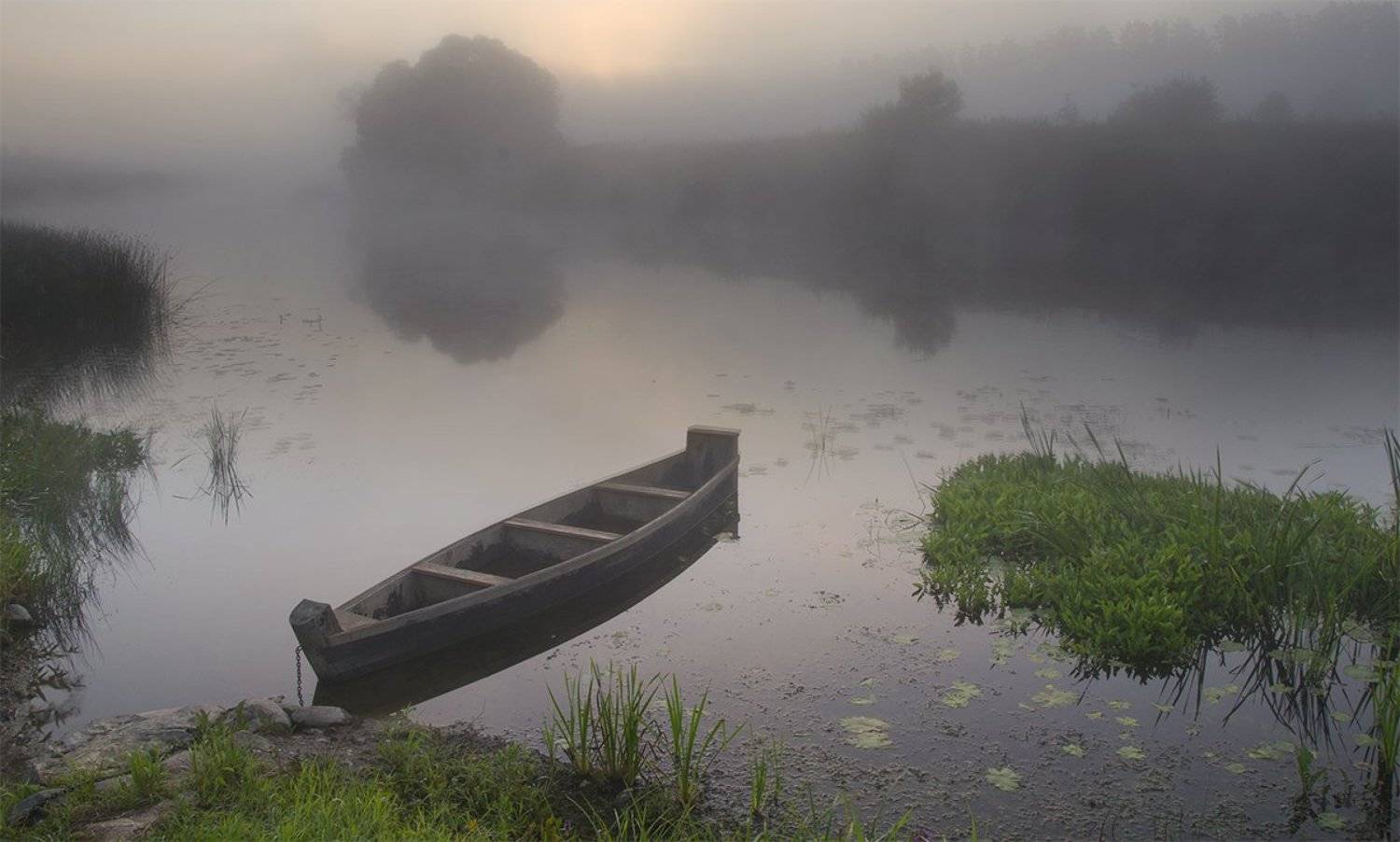 d3100, nikon, лето, пейзаж, природа, рассвет, река, россия, смоленская область, солнце, туман, угра, Денис Щербак