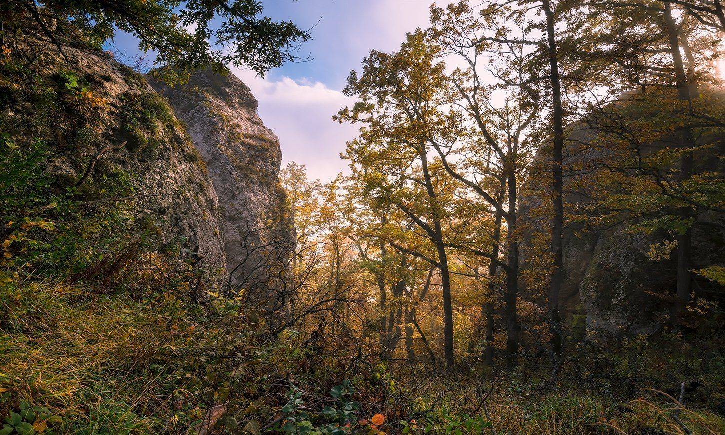 Лес, Мезмай, Осень, Природа, Туман, Олег Скан