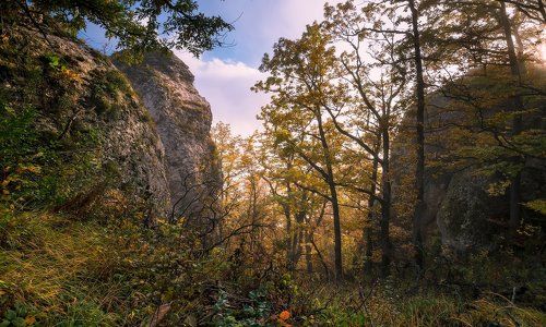 Осень бывает туманна в Мезмае