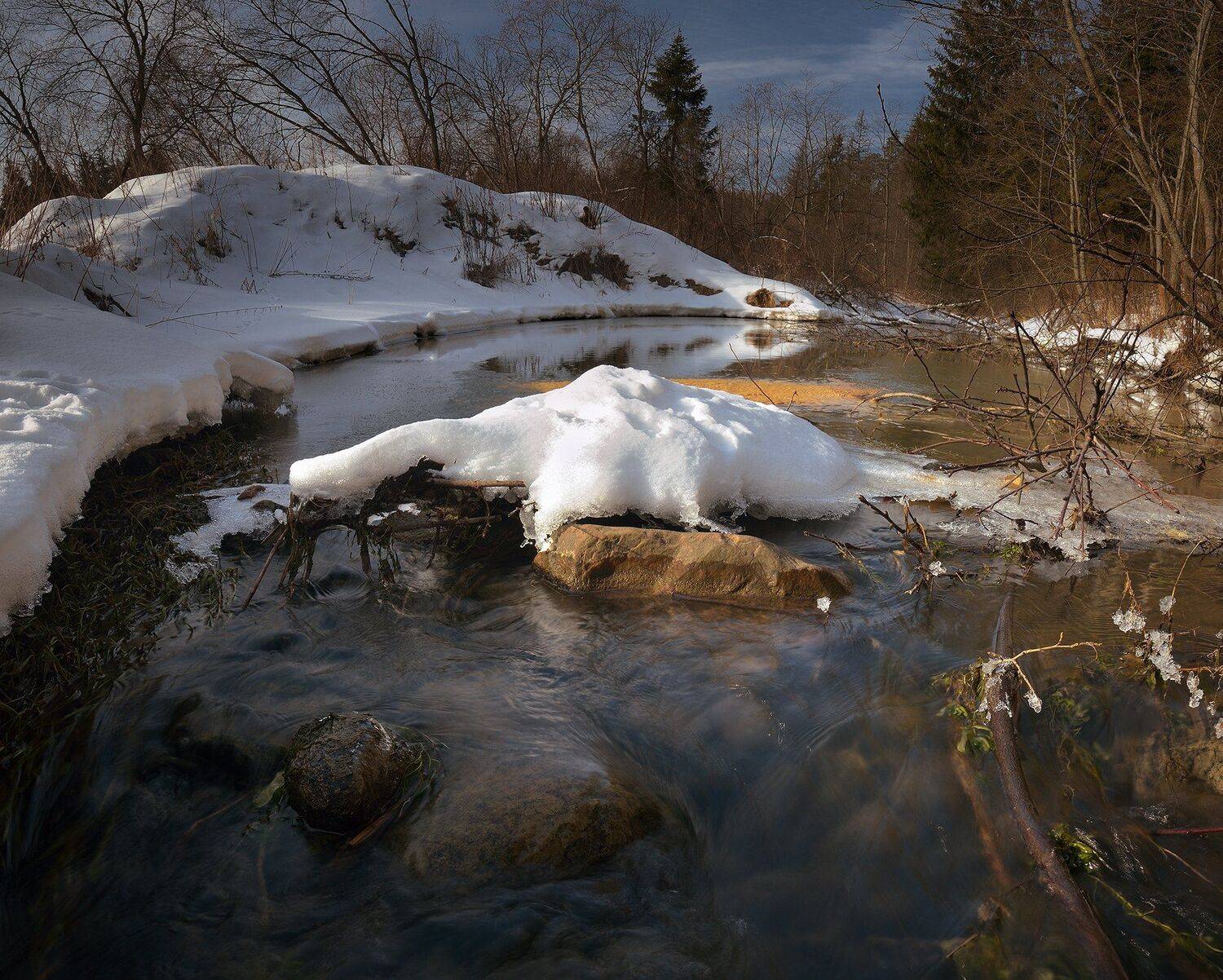 Nikon d600, Зима, Природа, Алексей Никонов