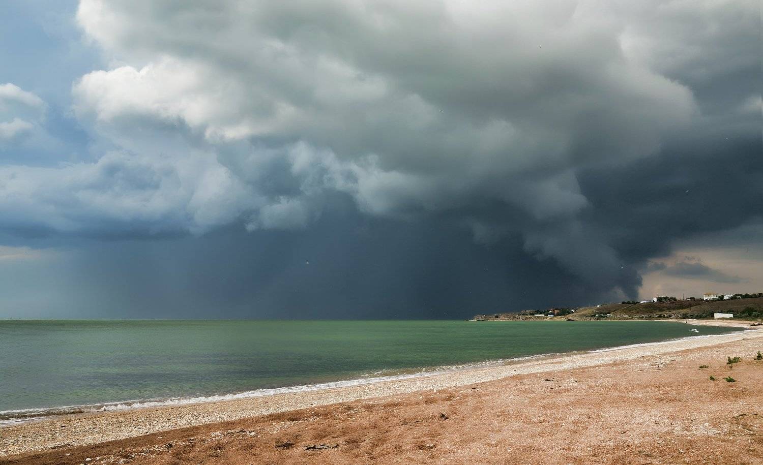 , Анатолий Щербак