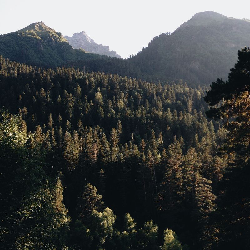 мобильная, фотография, mobile, photography Мобильная фотография ч.37 фото превью