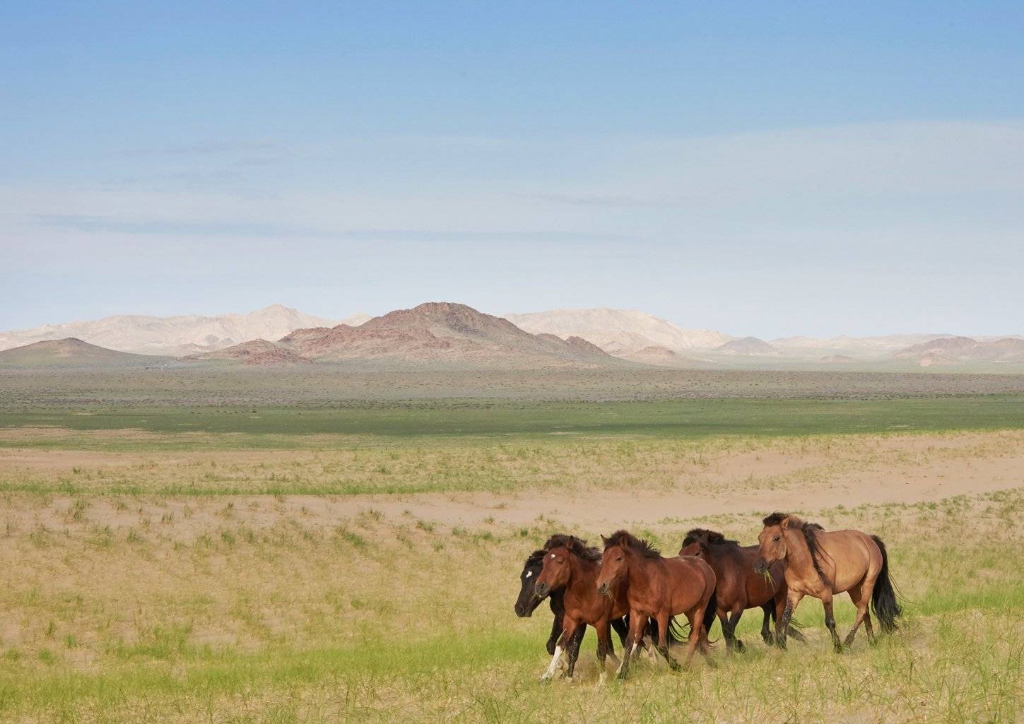 , Сергей Романчук