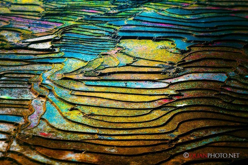 The color of flooded rice terraces фото превью