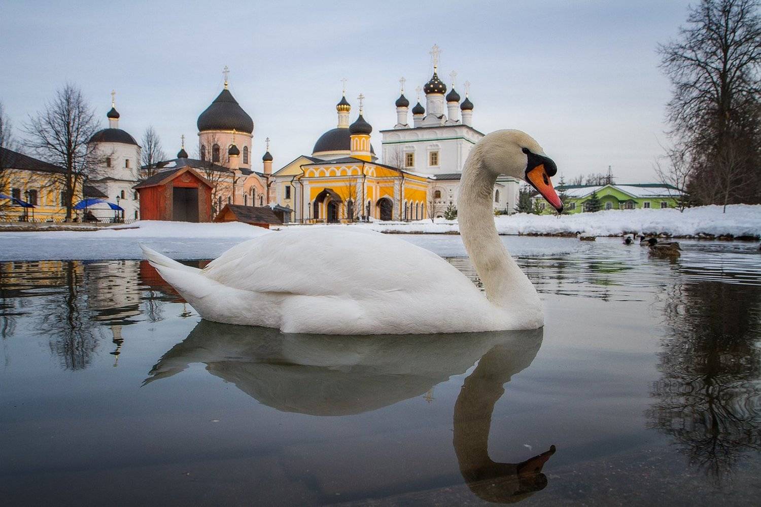 Давидова пустынь, Игорь Шиленок