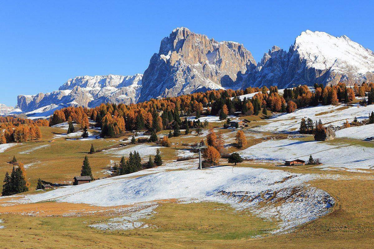 , Игорь Дубровский