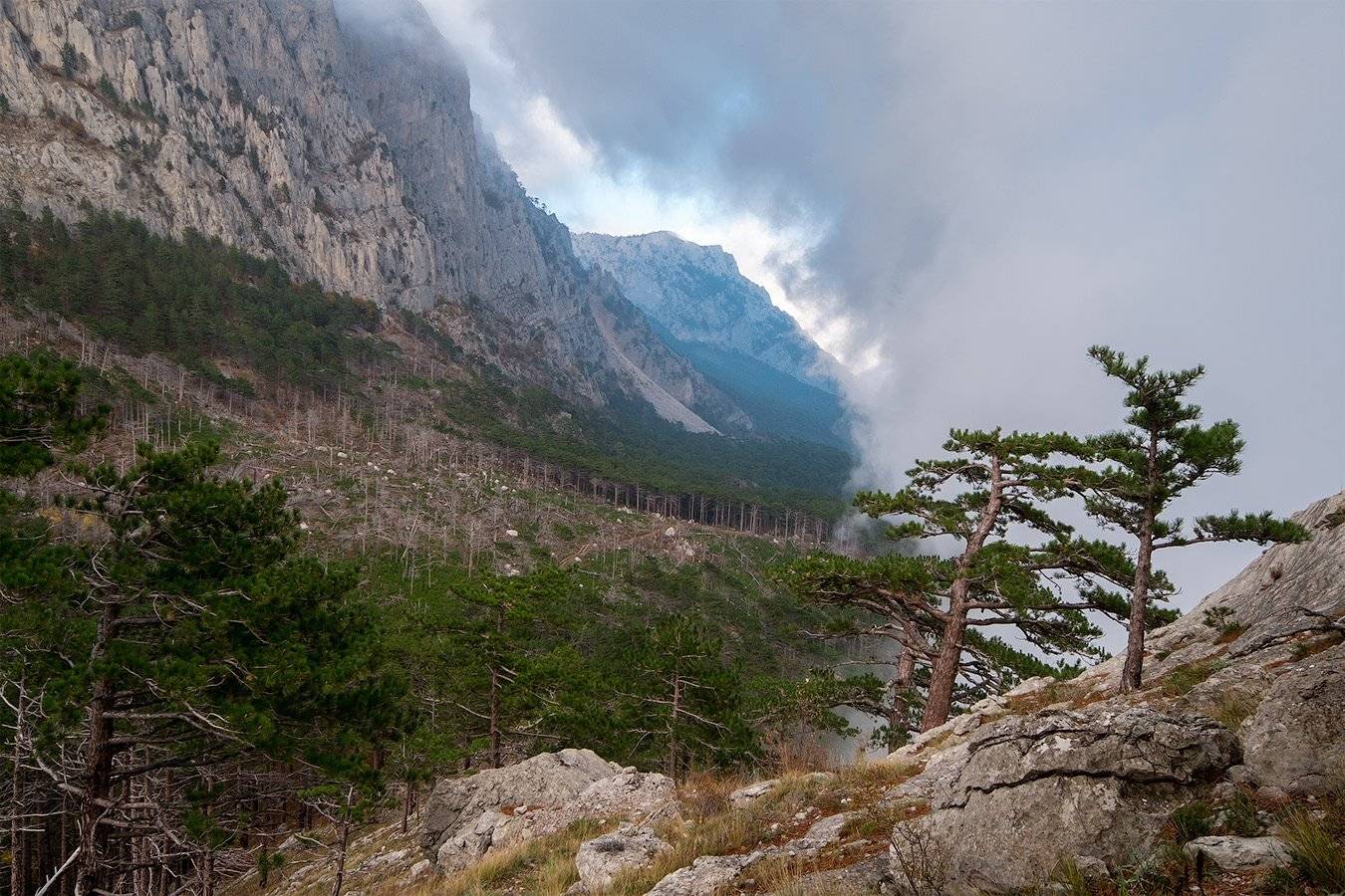 , Олег Логунов