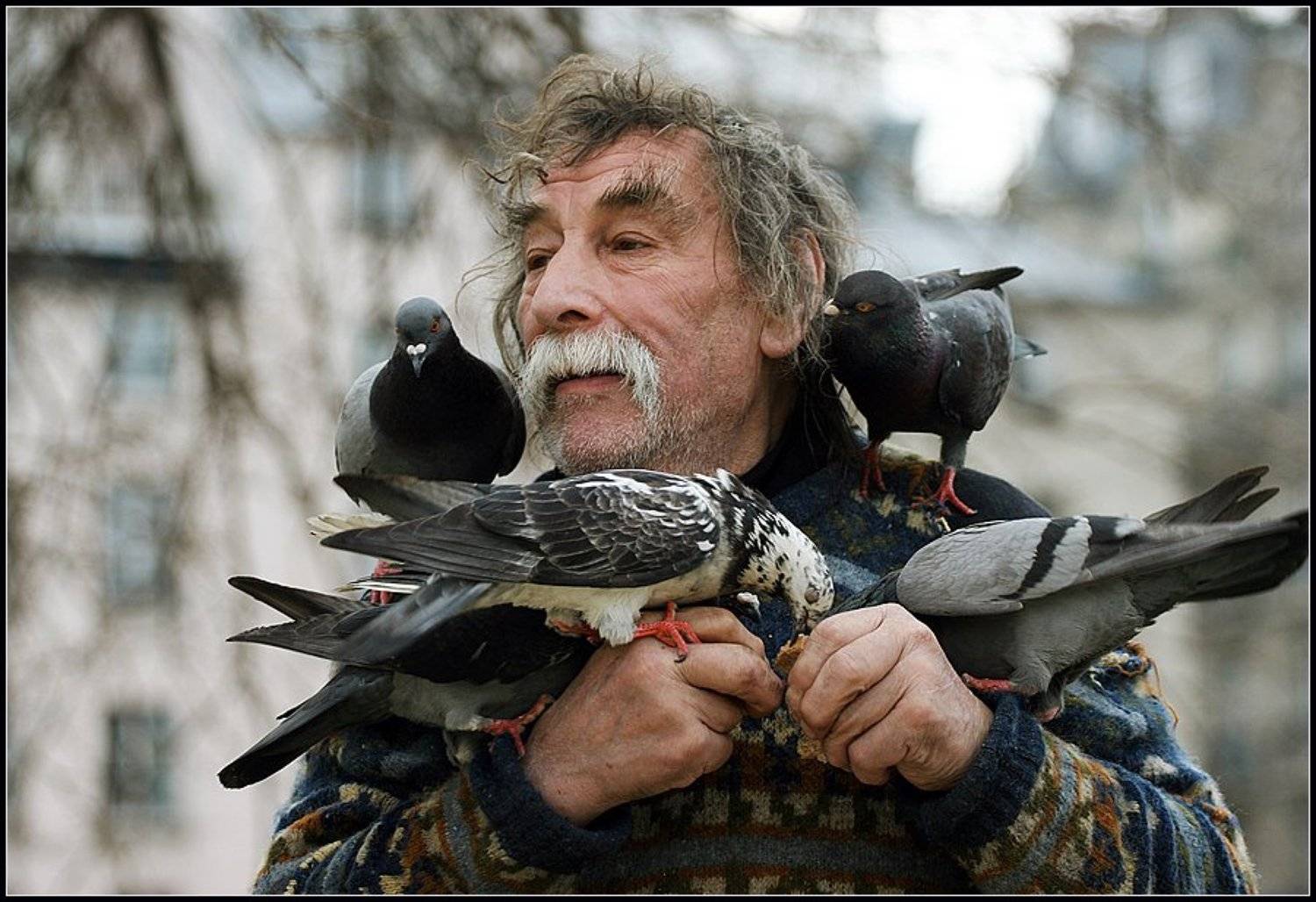 Париж, Клошар. Голуби , Родислав Дрибен