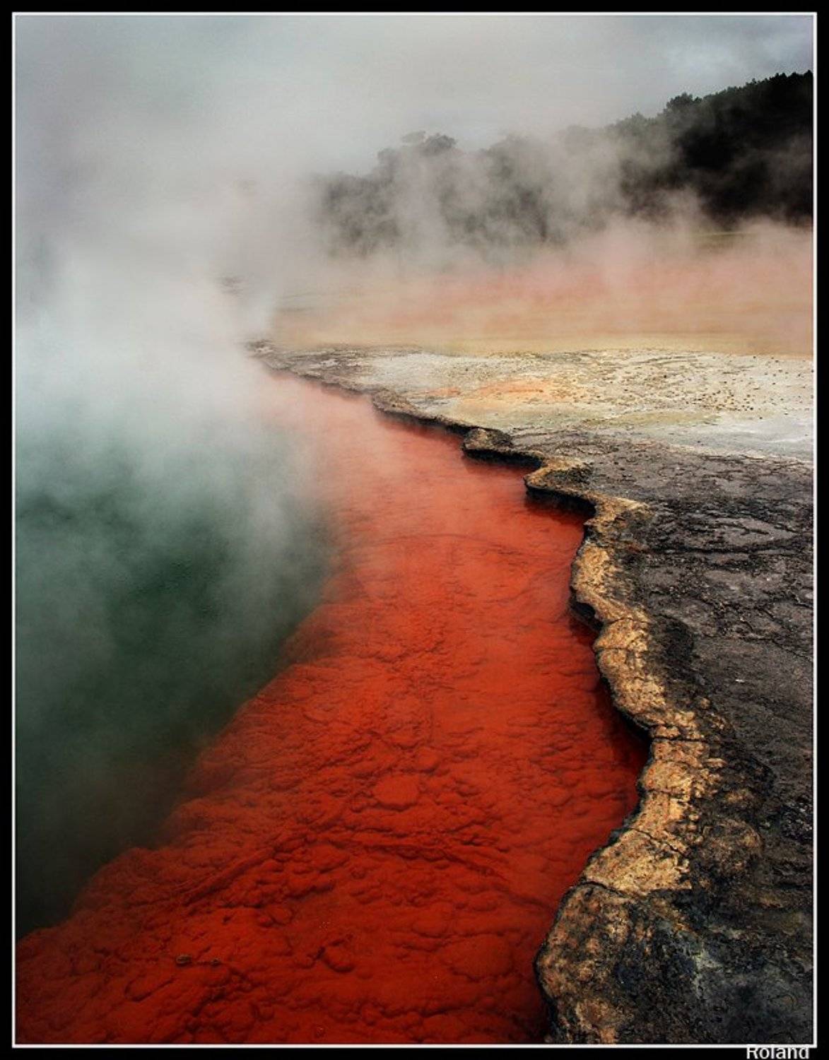 champagne, pools, near, rotorua, Родислав Дрибен