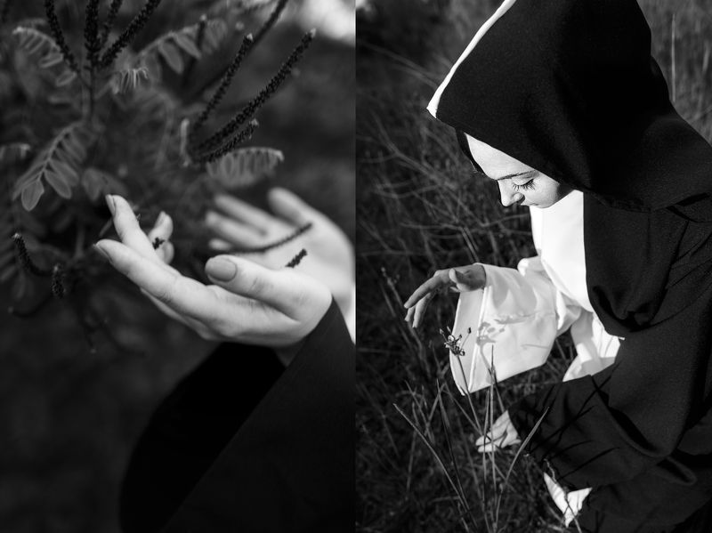 Проект Сущность фото превью