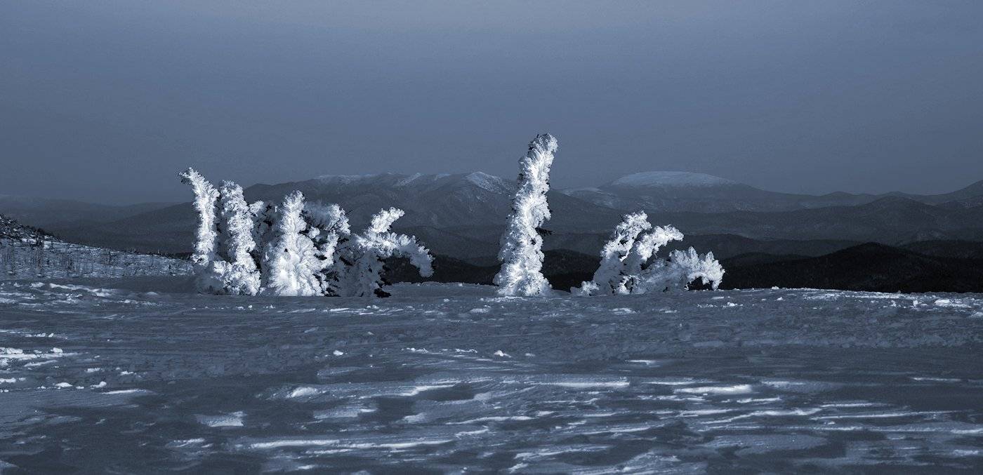 вечер, горная шория, зима уходящая, пихты, последний день зимы, сибирь, снег, сугробы, шерегеш, Валерий Пешков
