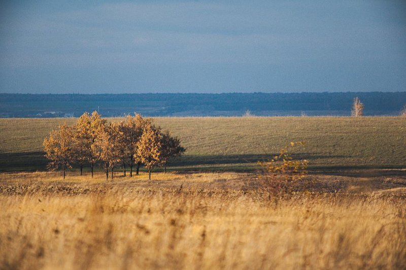 поля фото превью