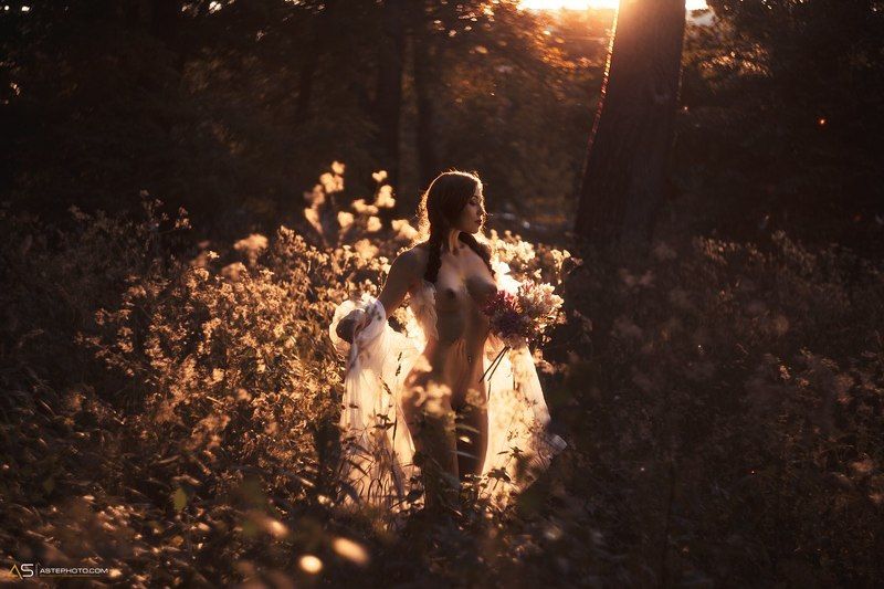 spring light фото превью