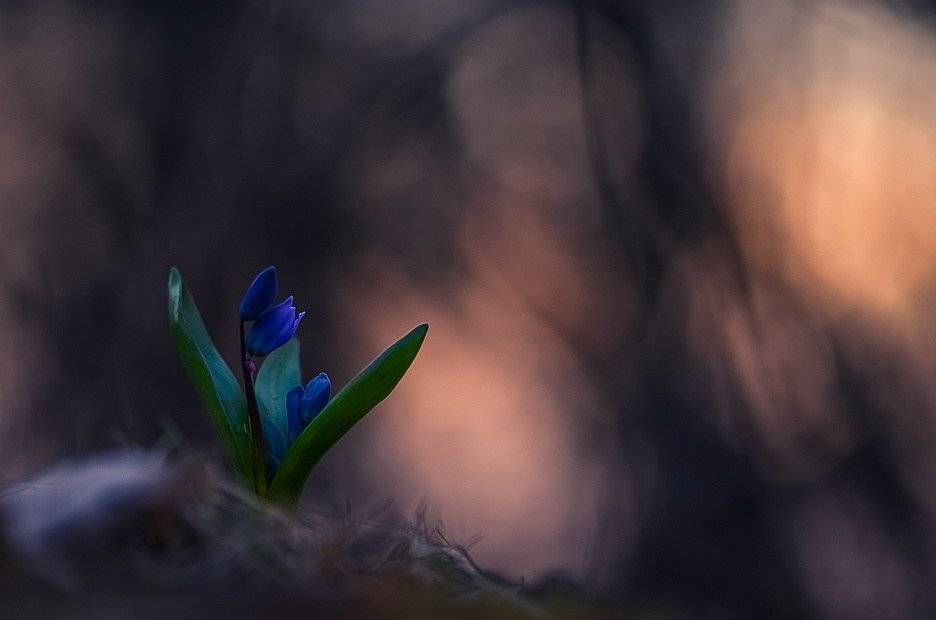 , Вячеслав Мищенко