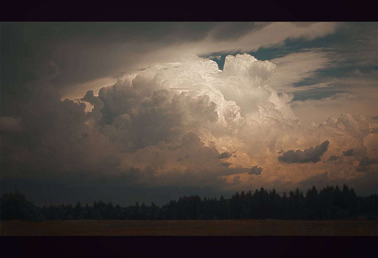 , Макаров Роман