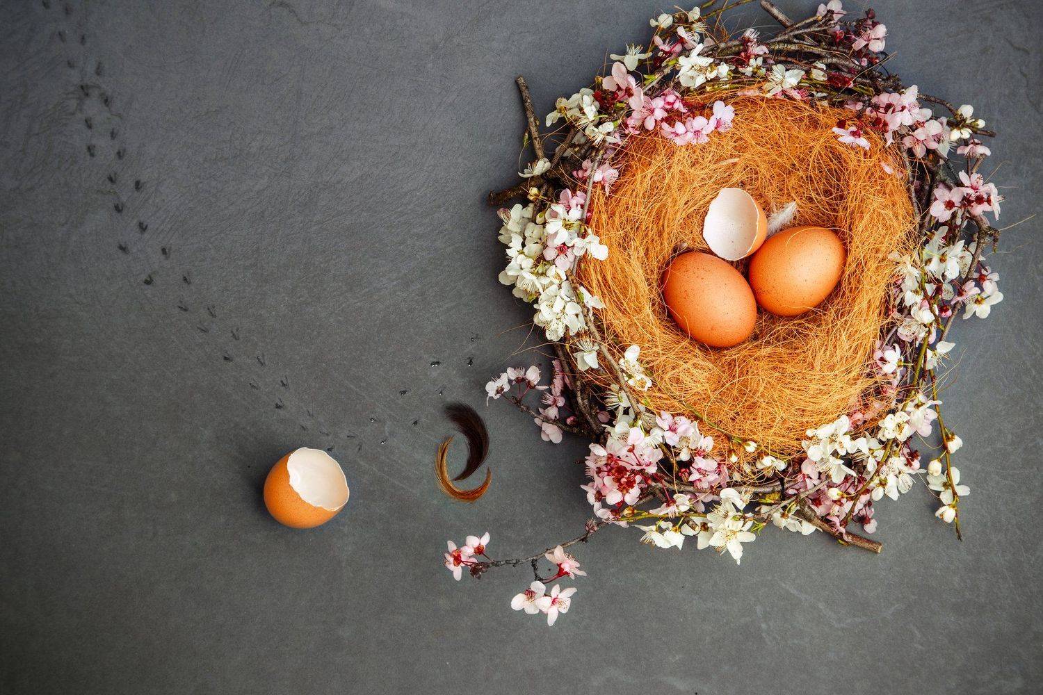 , Mindia Charkseliani