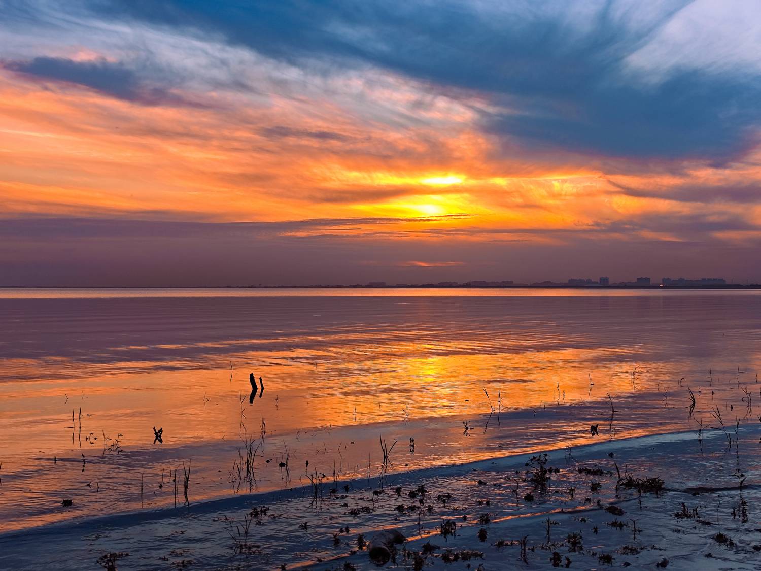 , Елена Литовская