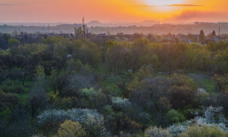 Весеннее утро. фото превью