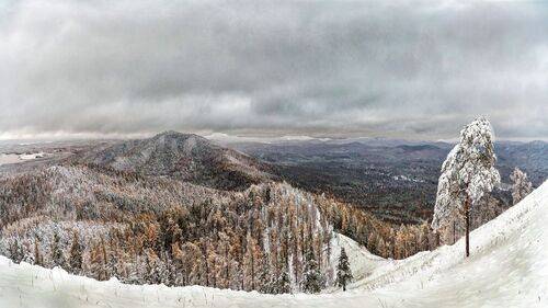 Первый снег