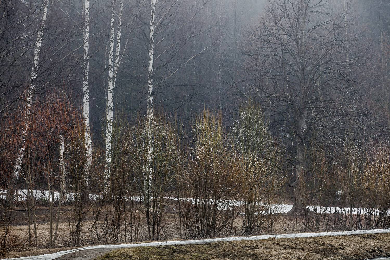 ,  александр михайлов