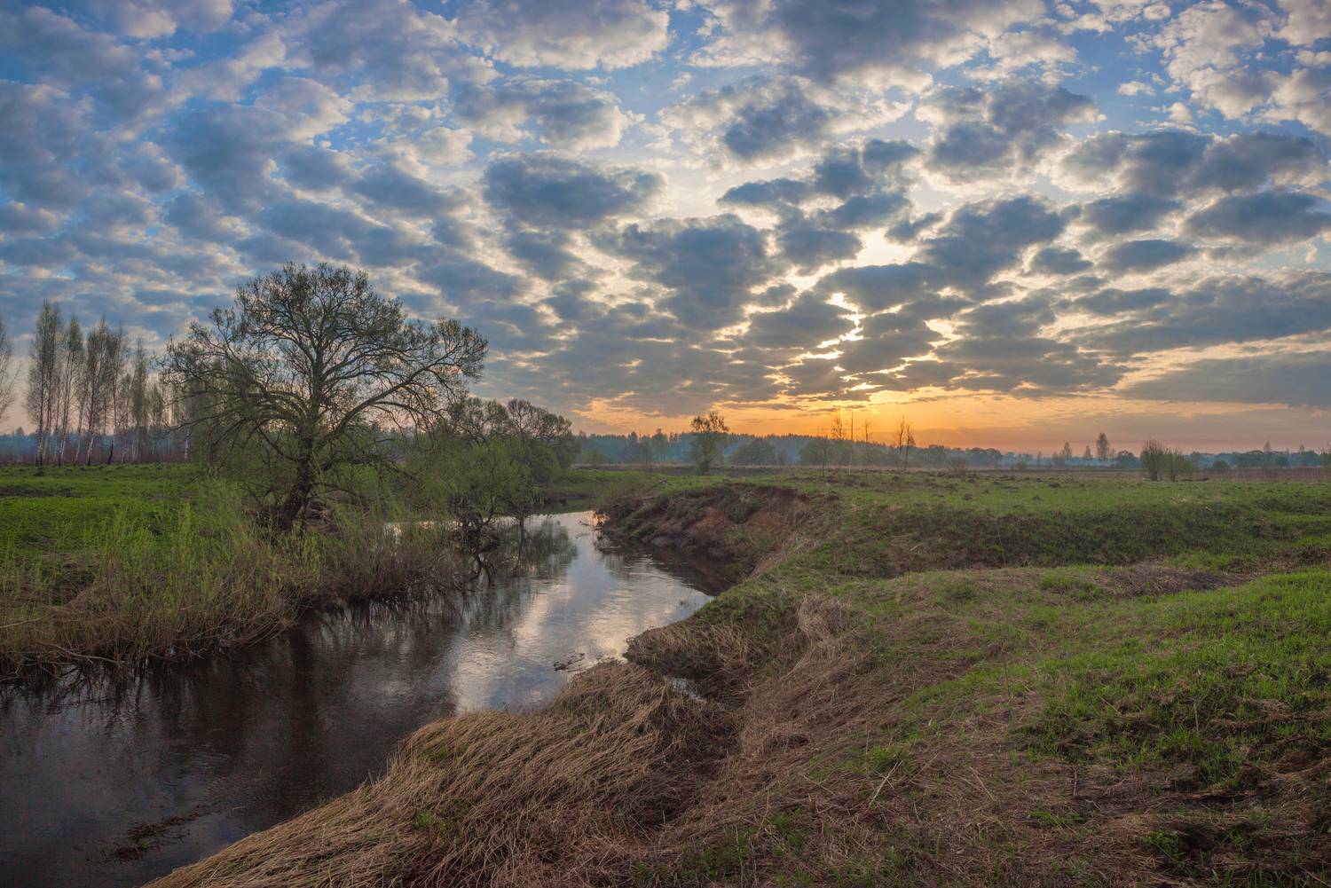 рассвет, весна, поле , река, Свистков Александр