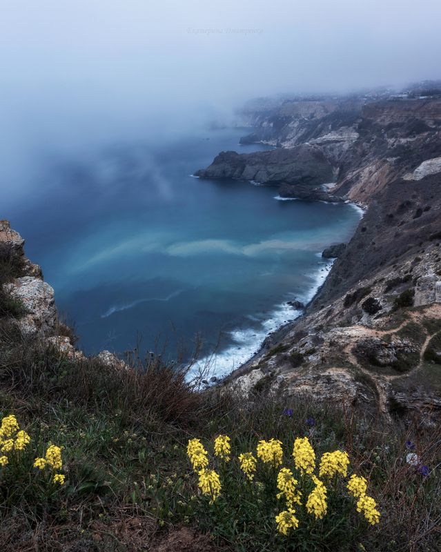 крым, фиолент, севастополь, море, туман, весна Время туманов фото превью