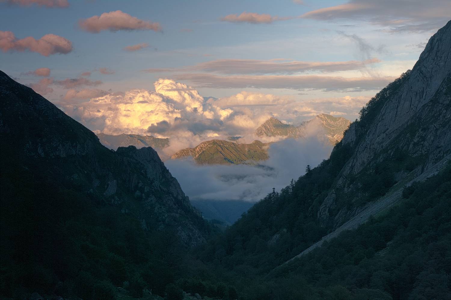 , Wojciech Tarnowski