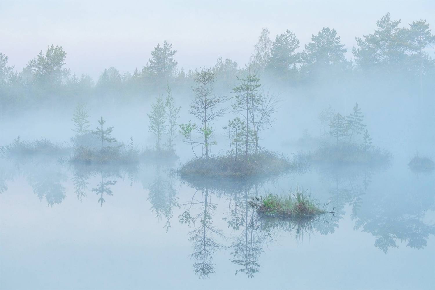 , Петр Косых