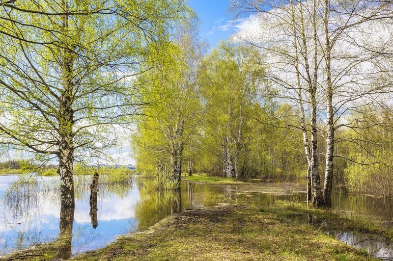 Весна, половодье, разлив Весна идет фото превью