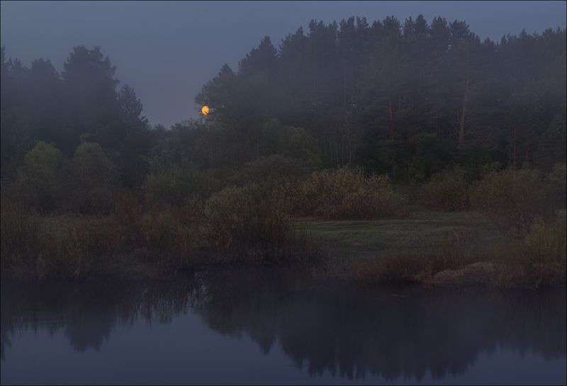 Туманное утро фото превью